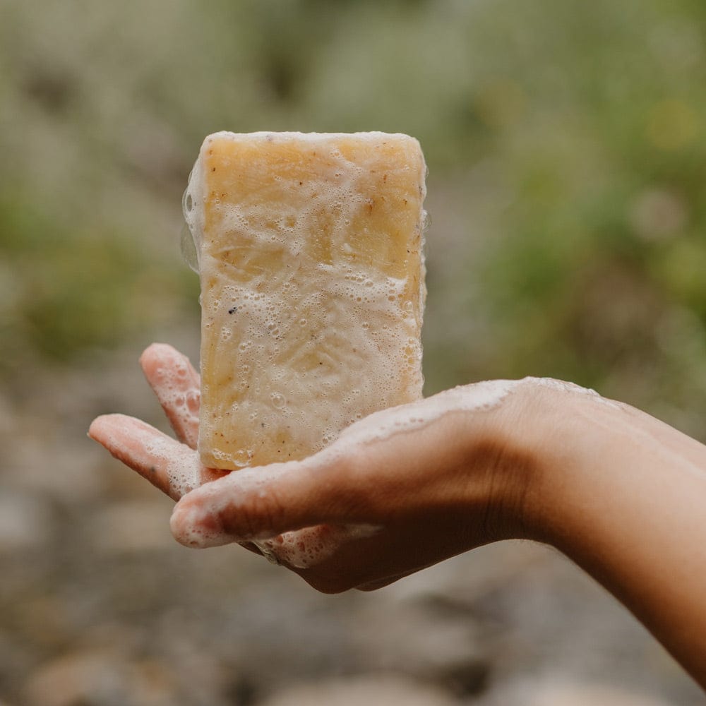 Pumpkin Soap - Canard Labs 